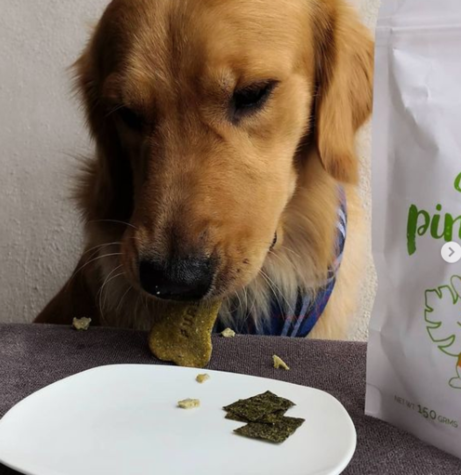 Furxury | Healthy Pet Food - @goldydoglife