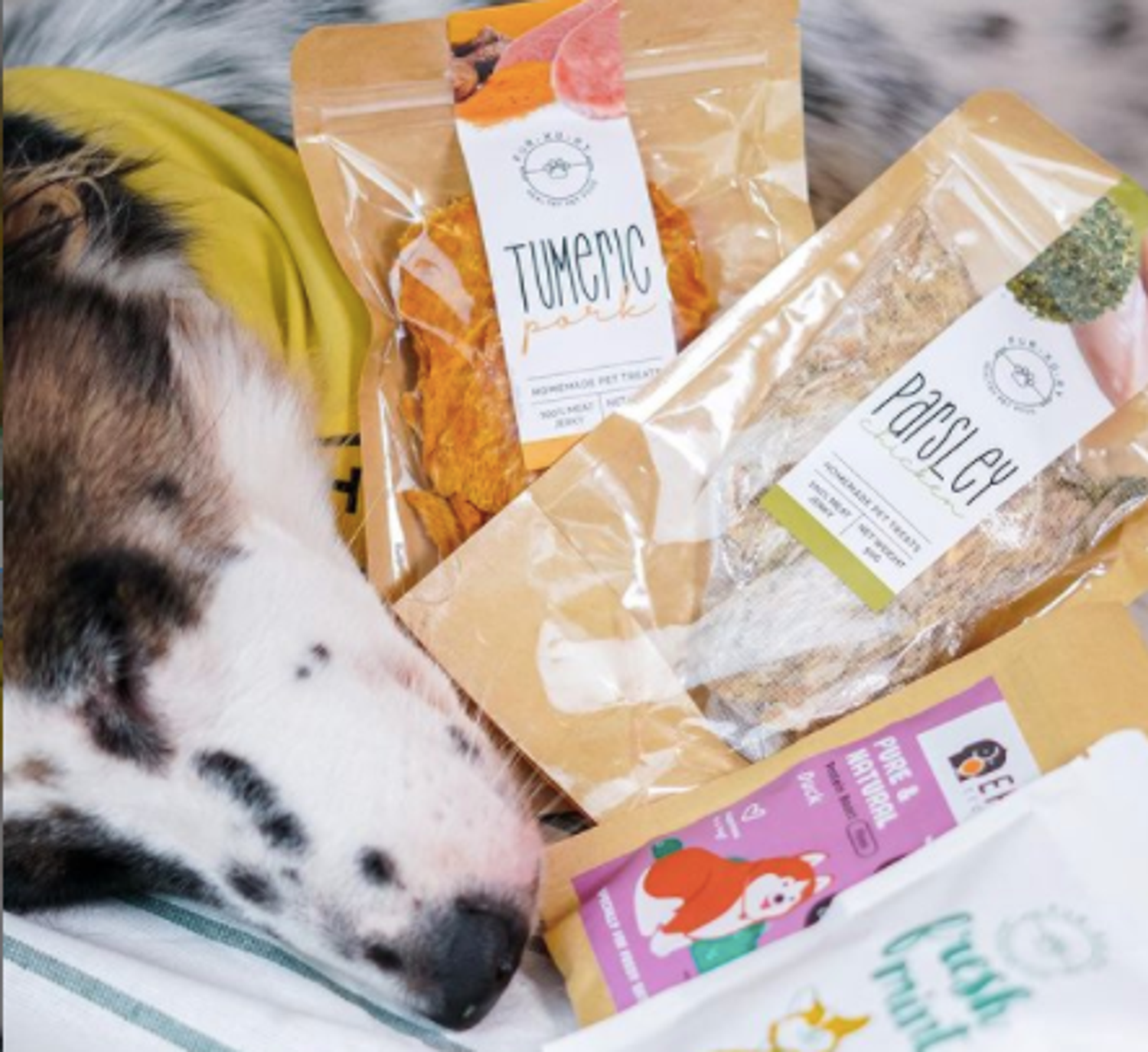 Furxury | Healthy Pet Food - @qqthemixmatian