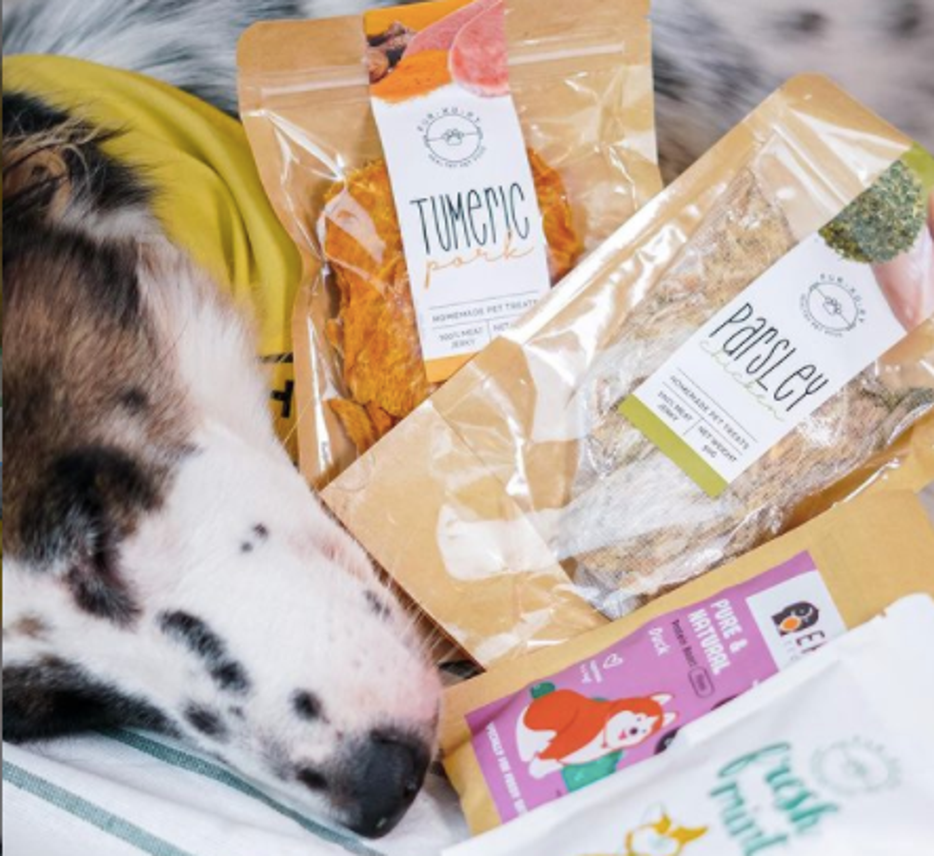 Furxury | Healthy Pet Life - @qqthemixmatian