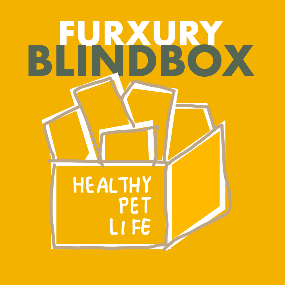 blindbox-productcover2.png