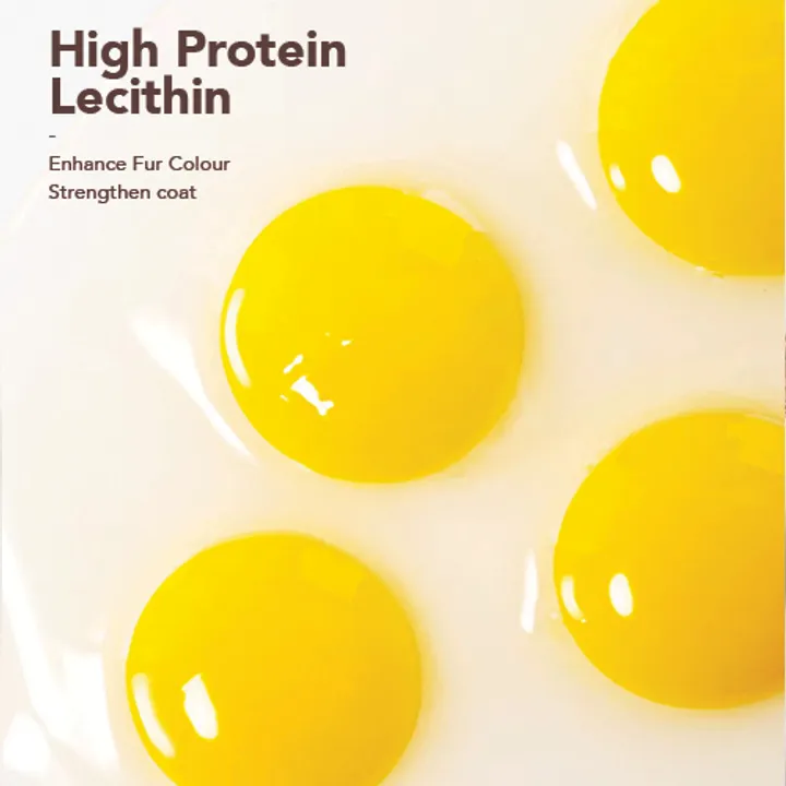 KP-EggYolkArtboard-2