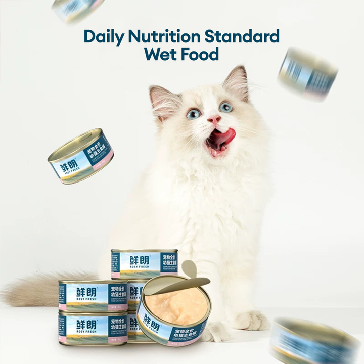 KittenCannedFood7