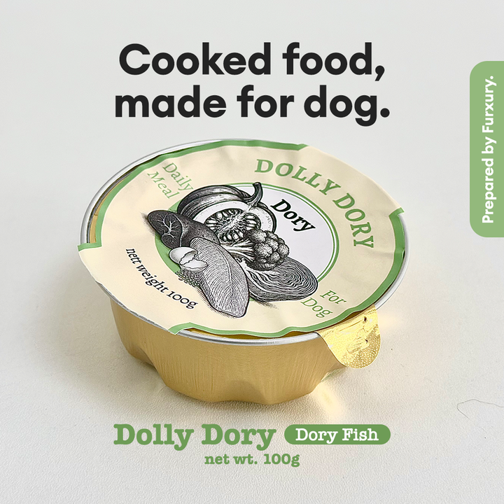 100g-cookfood-cover-dory