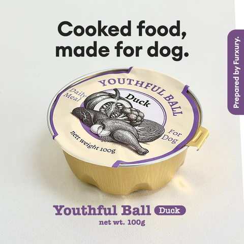 100g-cookfood-cover-duck