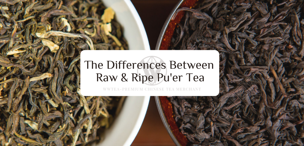 Differences Between Raw & Ripe Pu'er Tea