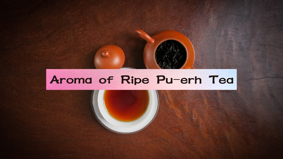 The Aroma of Ripe Shou Pu-erh Tea