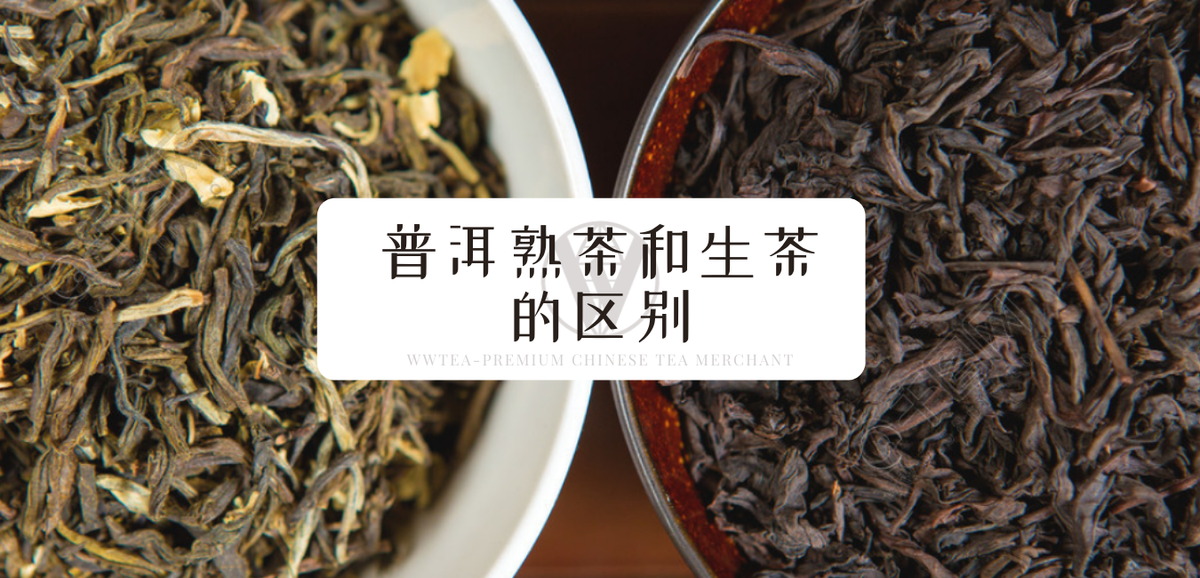 普洱熟茶和生茶的区别
