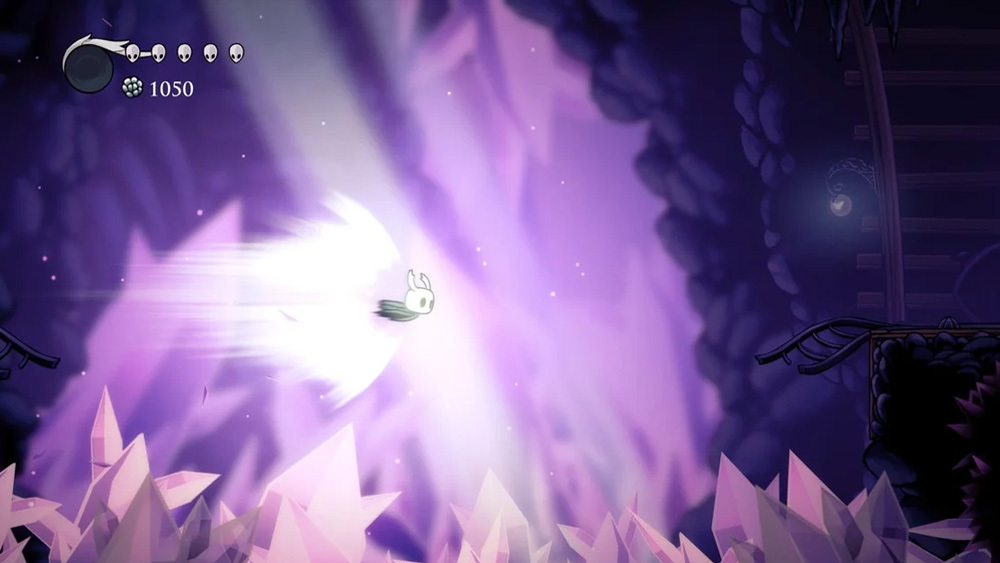 6 (1)