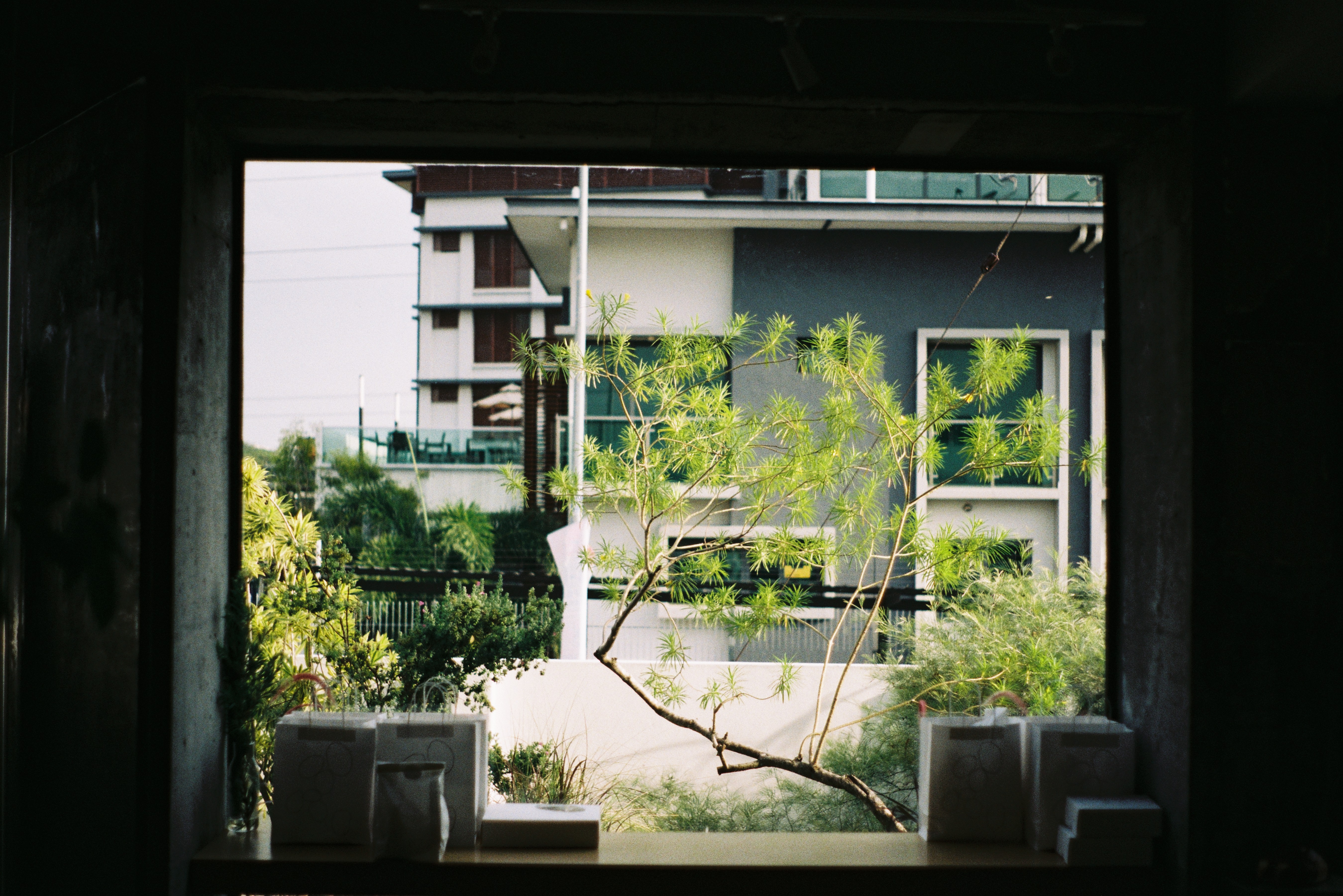 dou dou | pay us a visit