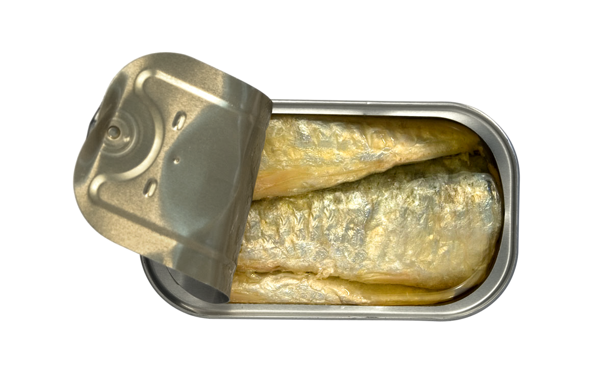 Sardines in Extra Virgin Olive Oil dou dou