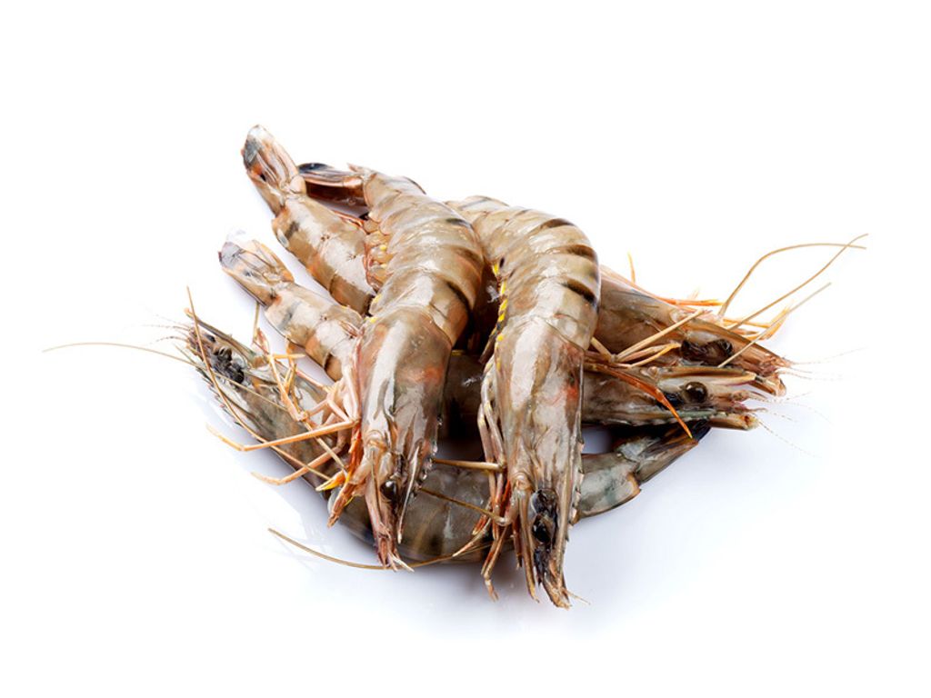 Tiger Prawns.jpg