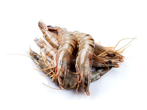 Tiger Prawns.jpg