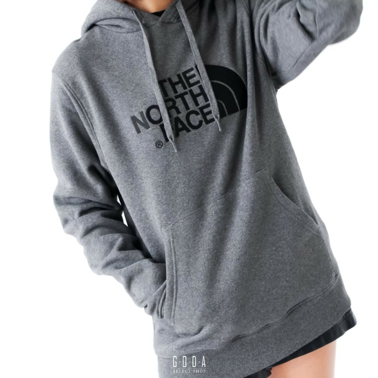 THE NORTH FACE LOGO HODDIE 北臉TNF 帽T 灰內刷毛T0AHJYLXS – GODA 夠