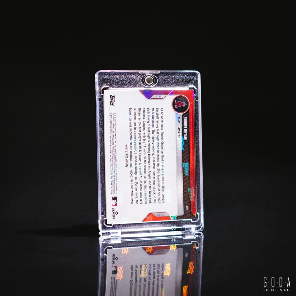 DSCF8313-1