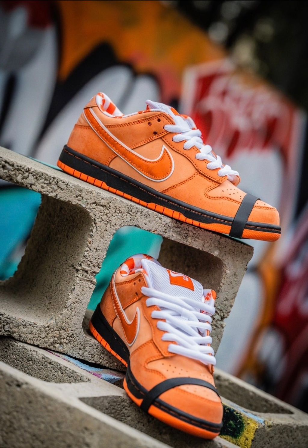 NIKE DUNK LOW ORANGE LOBSTER 23.5cm-