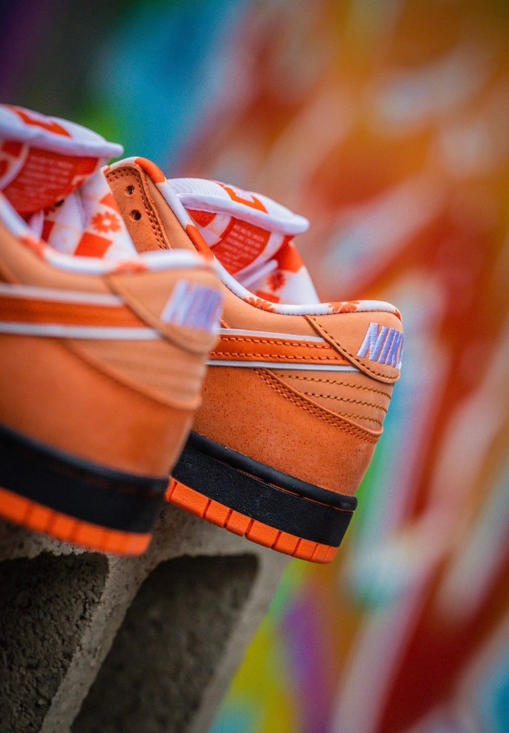 經典回歸) CONCEPTS X NIKE DUNK SB LOW ORANGE LOBSTER 橙龍蝦橘龍蝦