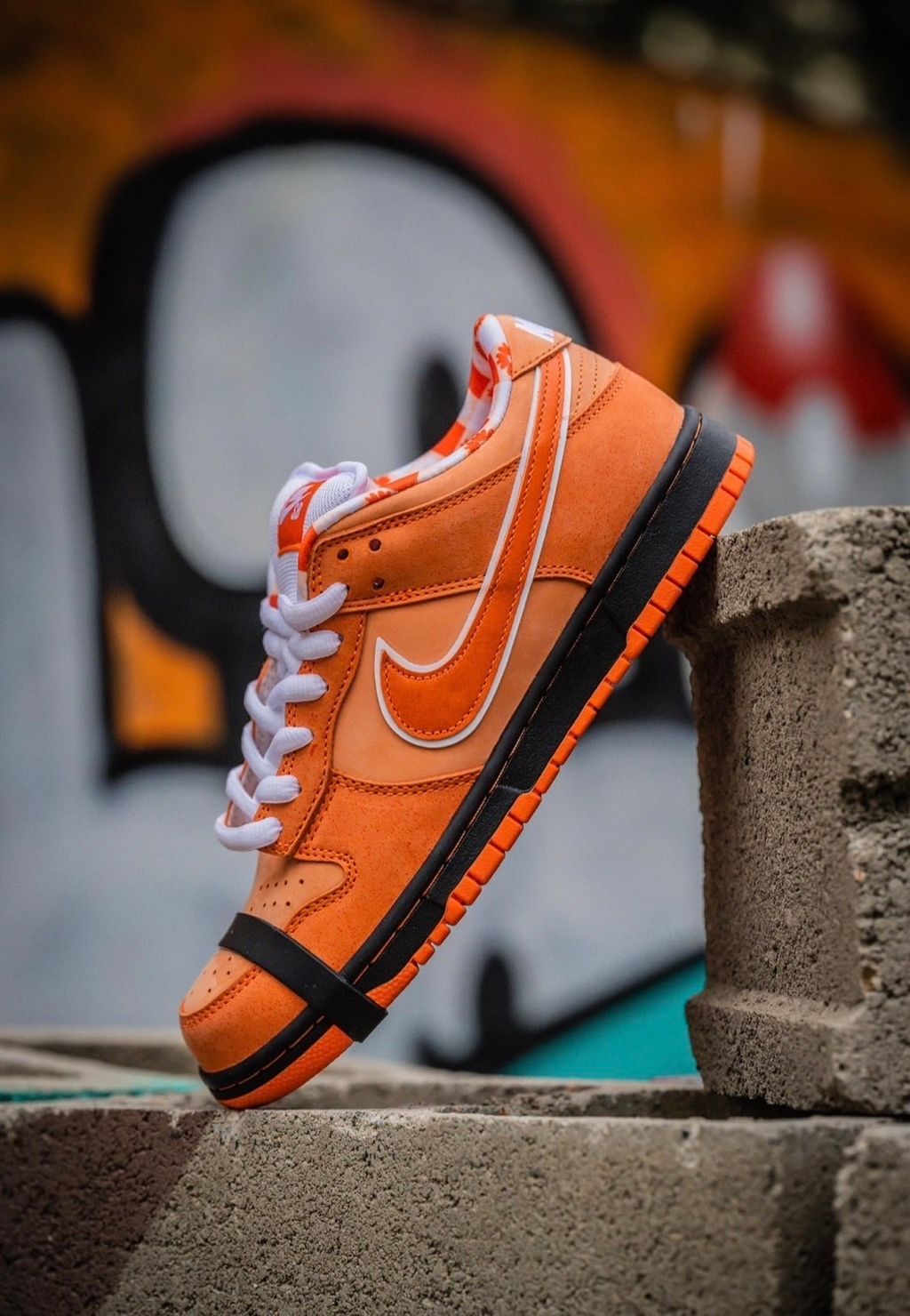 經典回歸) CONCEPTS X NIKE DUNK SB LOW ORANGE LOBSTER 橙龍蝦橘龍蝦