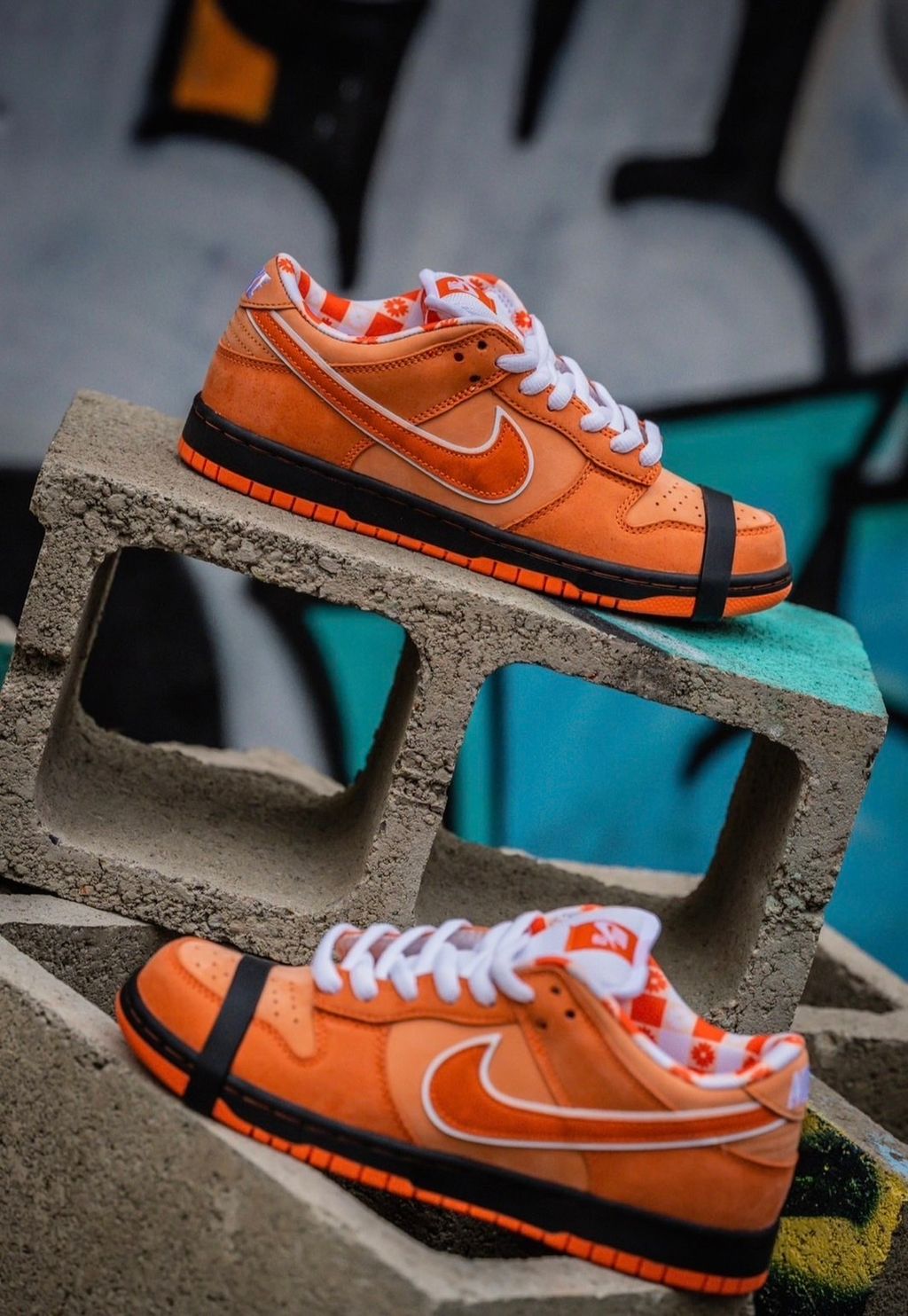 經典回歸) CONCEPTS X NIKE DUNK SB LOW ORANGE LOBSTER 橙龍蝦橘龍蝦