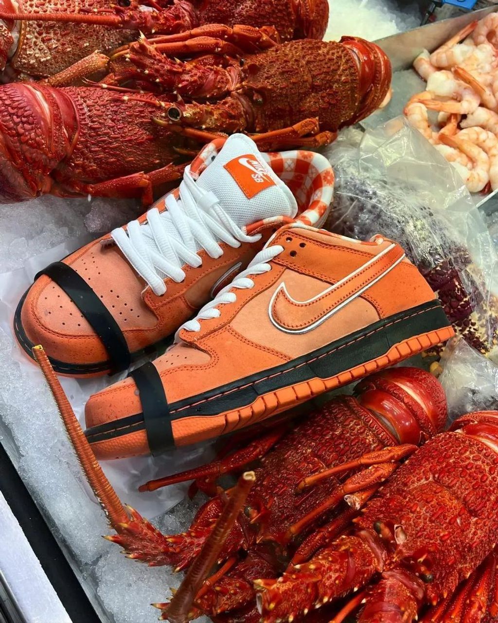 經典回歸) CONCEPTS X NIKE DUNK SB LOW ORANGE LOBSTER 橙龍蝦橘龍蝦