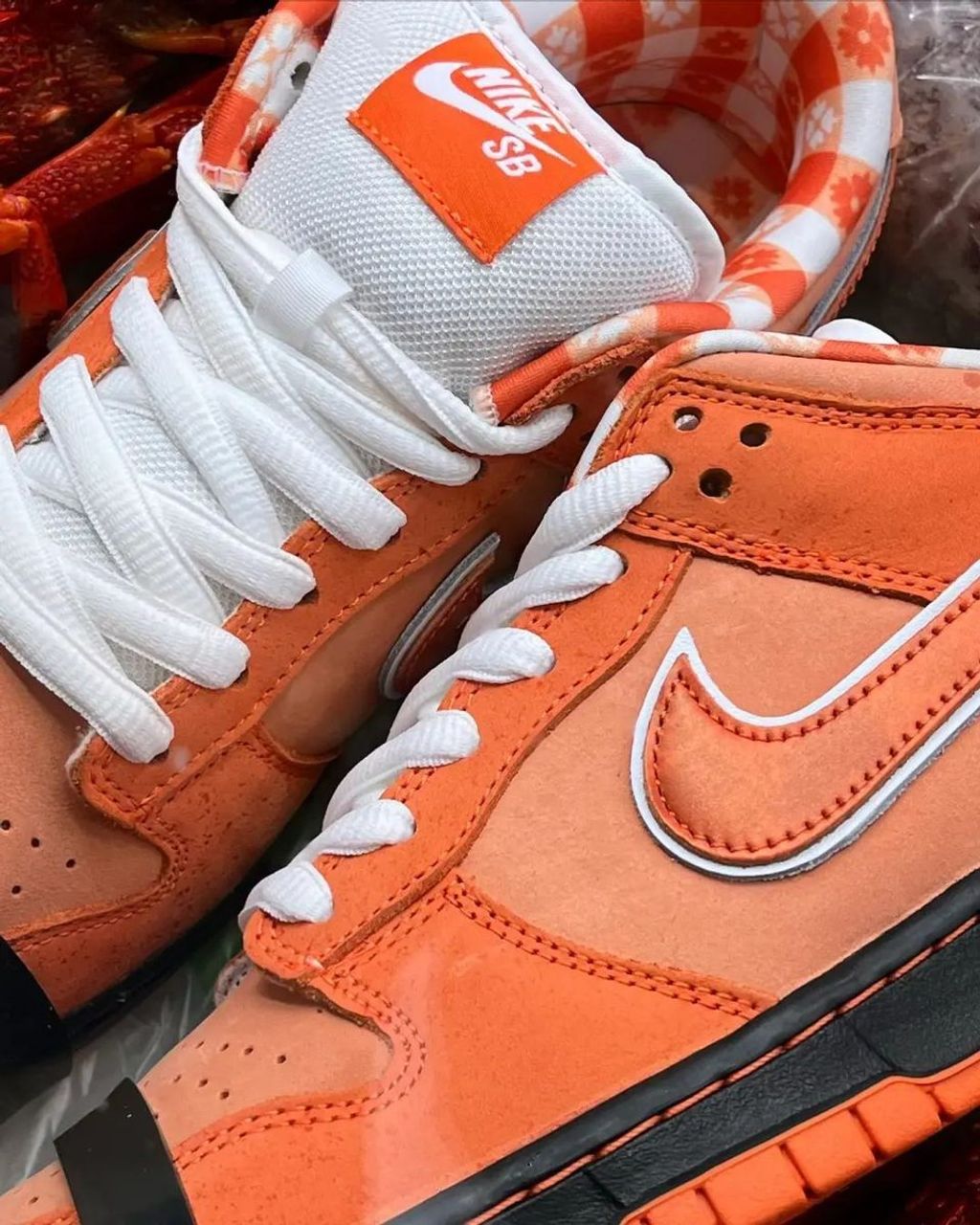 經典回歸) CONCEPTS X NIKE DUNK SB LOW ORANGE LOBSTER 橙龍蝦橘龍蝦