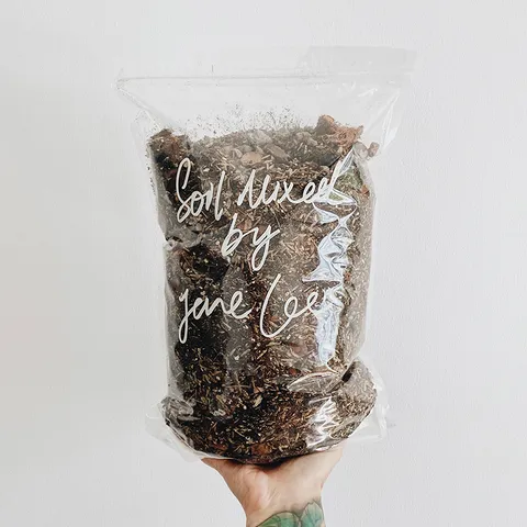 kedaiJane-SOIL-1.jpg