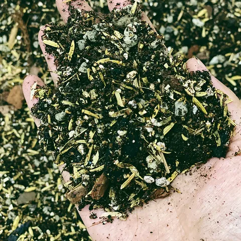 kedaiJane-SOIL-2.jpg