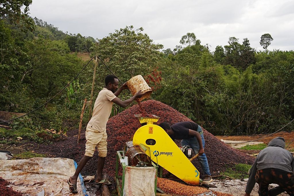 WhatsApp Image 2026-03-05 at 10.06.21 AM (1)