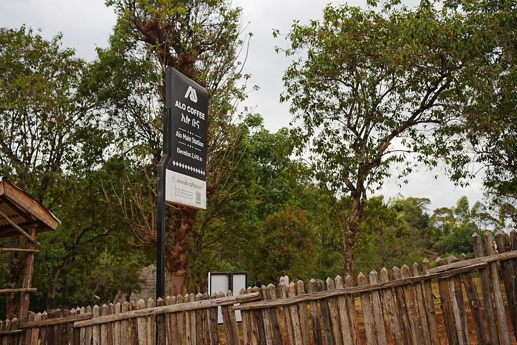 WhatsApp Image 2026-03-05 at 10.06.19 AM