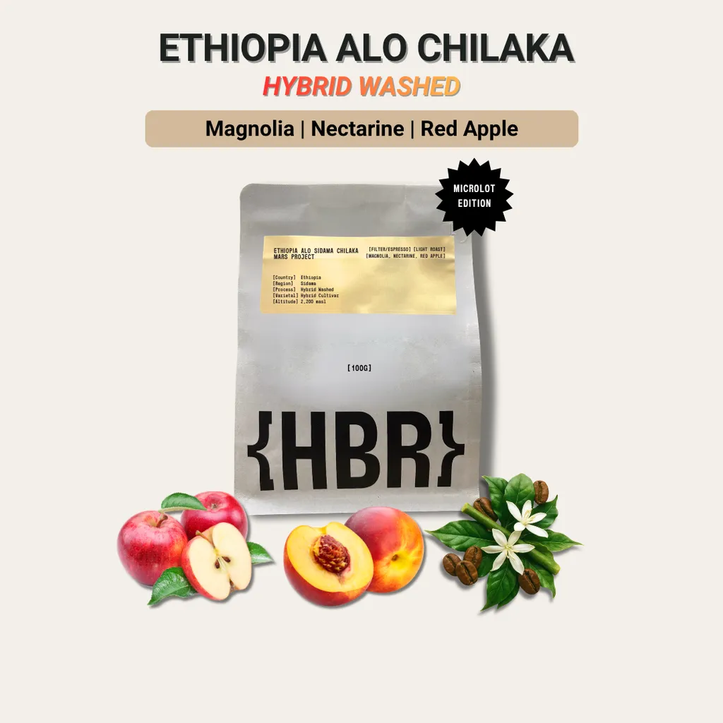 HisBrew Roastery Ethiopia Alo Chilaka Hybrid – specialty coffee beans Malaysia