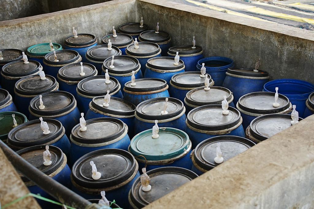 WhatsApp Image 2026-03-05 at 10.06.20 AM