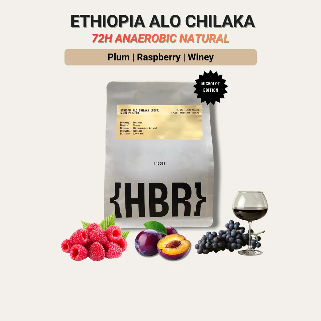 HisBrew Roastery Ethiopia Alo Chilaka Anaerobic Natural (Microlot) – specialty coffee beans Malaysia