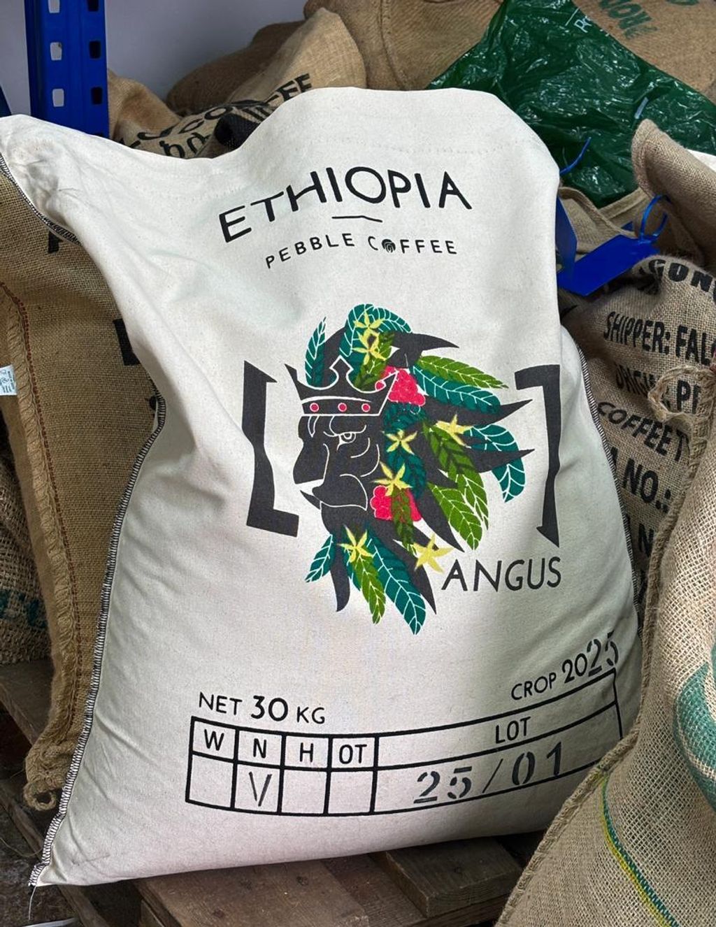 WhatsApp Image 2026-04-10 at 2.47.20 PM