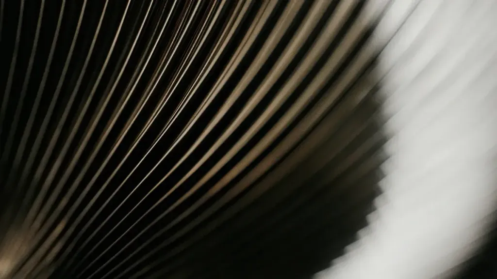 442119HARIOV60DRIPPERNEOLifestyle2