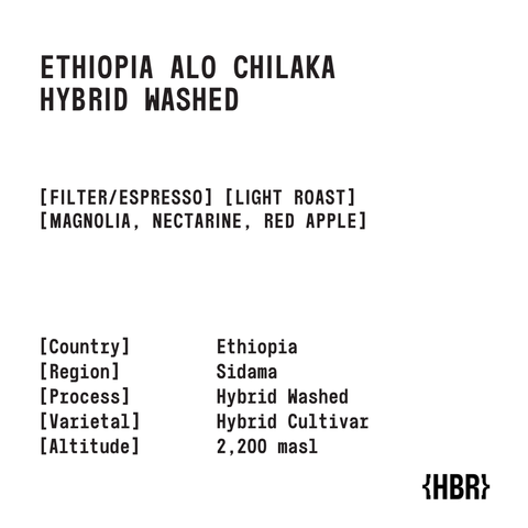 chilaka hybrid (1)