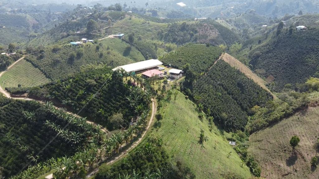 colombiamonteblanco