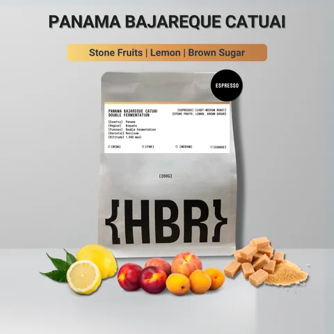 HisBrew Roastery Panama Bajareque Catuai Double Fermentation – specialty coffee beans Malaysia