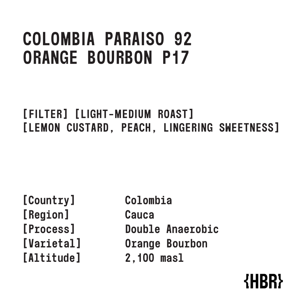 p17 (2)