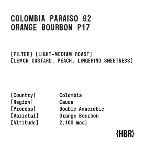 p17 (2)