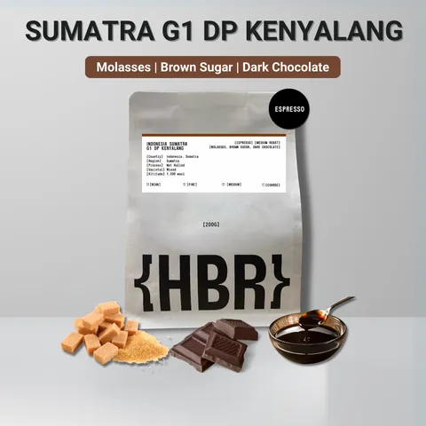 HisBrew Roastery Sumatra G1 DP Kenyalang – specialty coffee beans Malaysia
