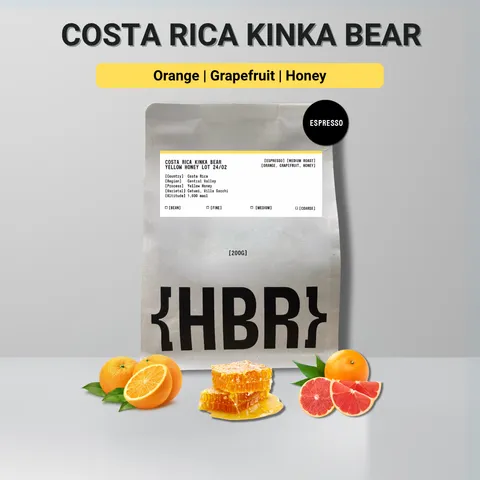 costa kinka