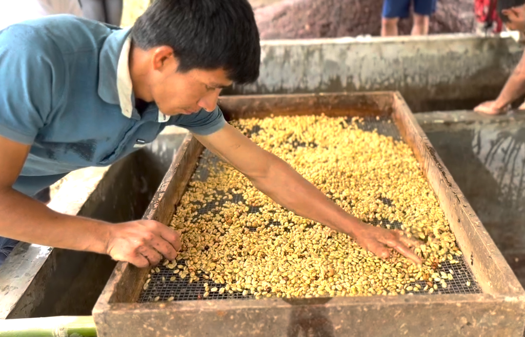 Screen Shot 2026-02-24 at 2.57.47 PM