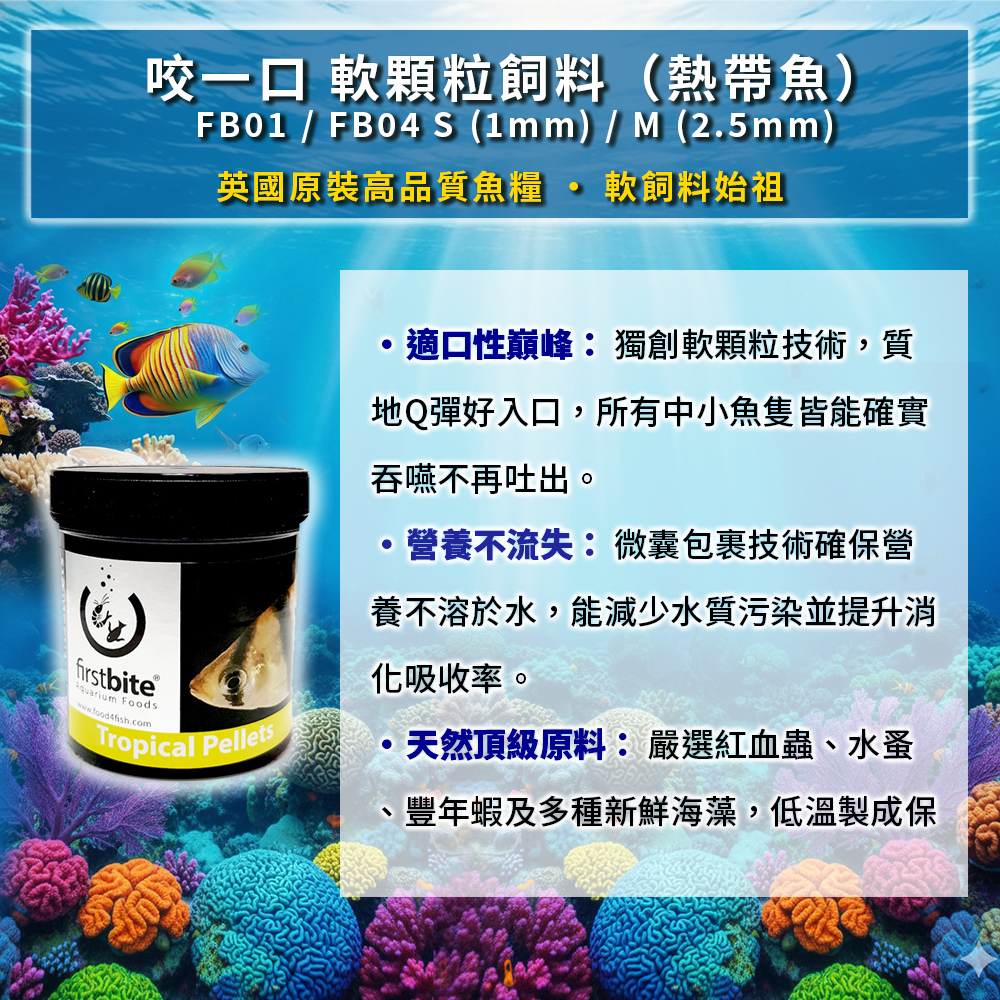 網路推圖_內文01