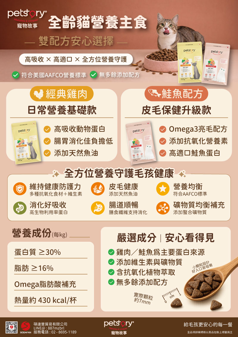 寵物故事-800x1132