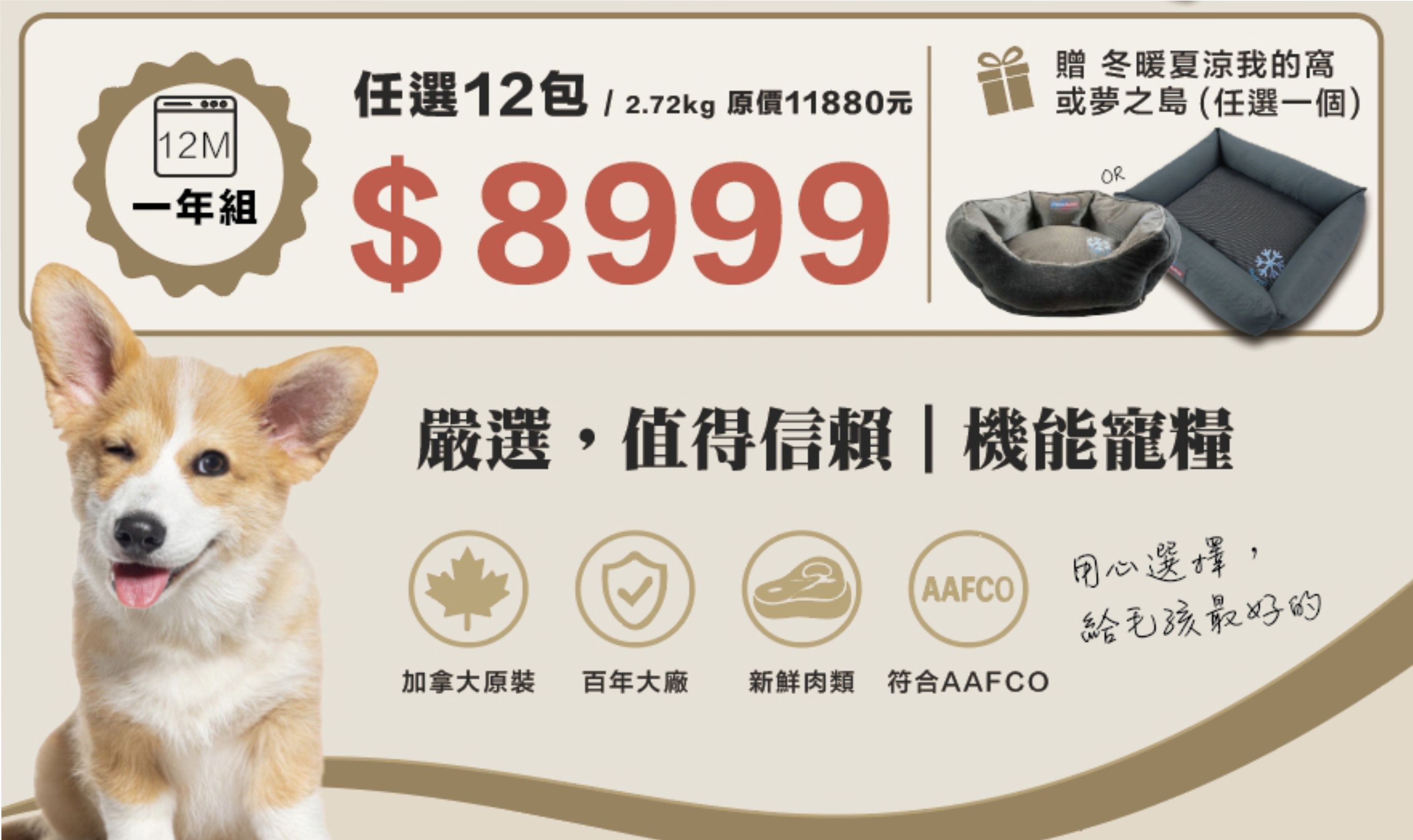 狗12