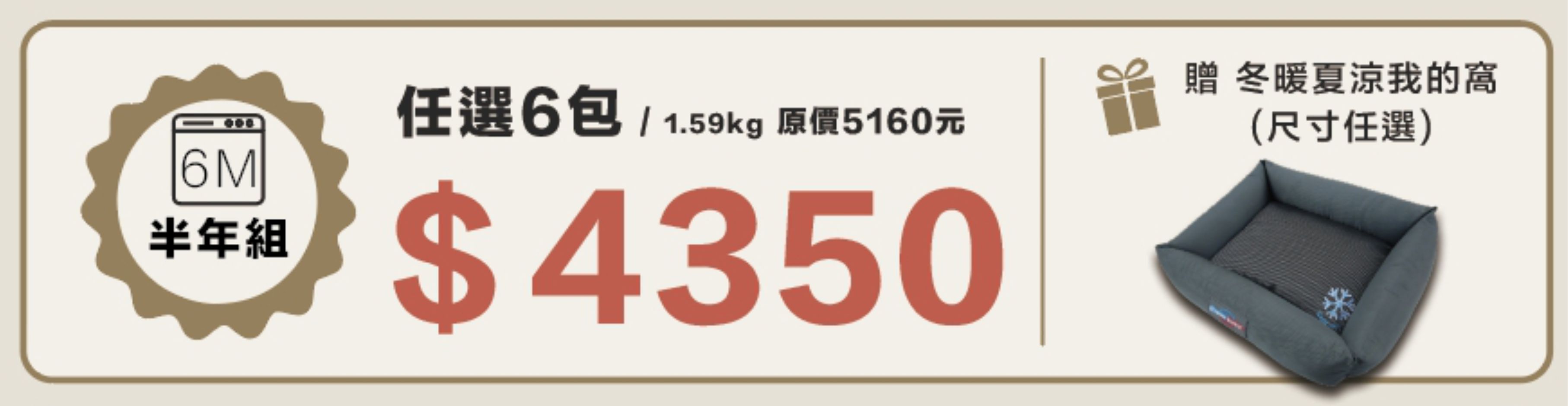 貓6