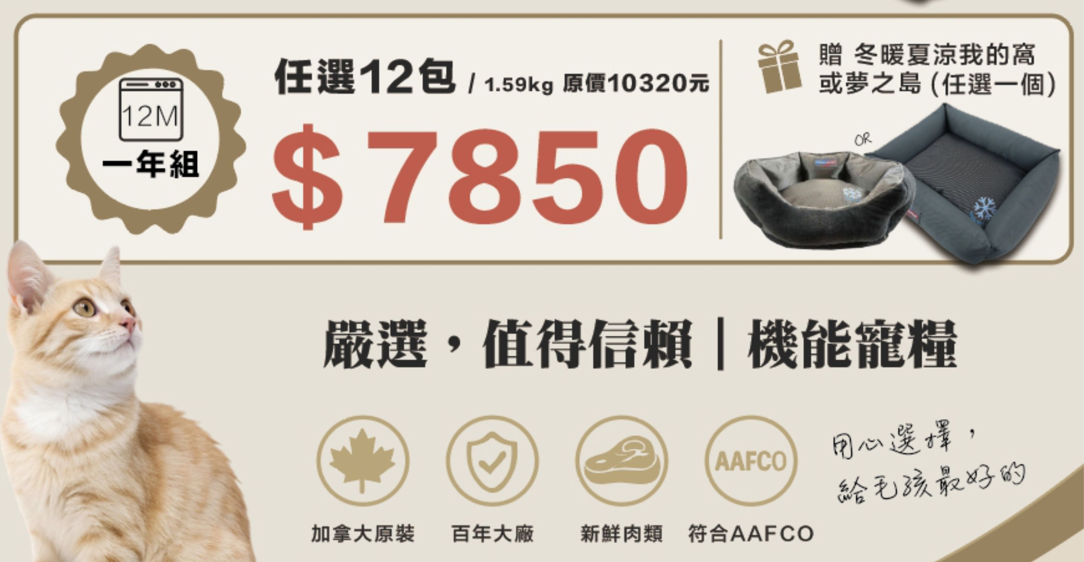 貓12