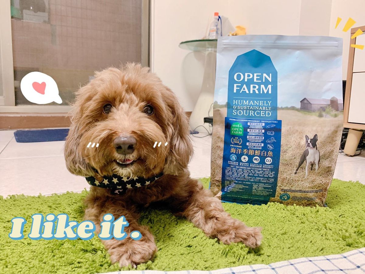 【Nike試吃推薦】用最人道的飼養、捕撈、製作方式,野撈季節白魚