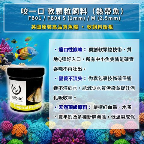 網路推圖_內文01