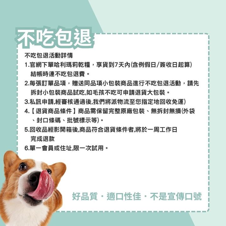 桌椅姊姊
