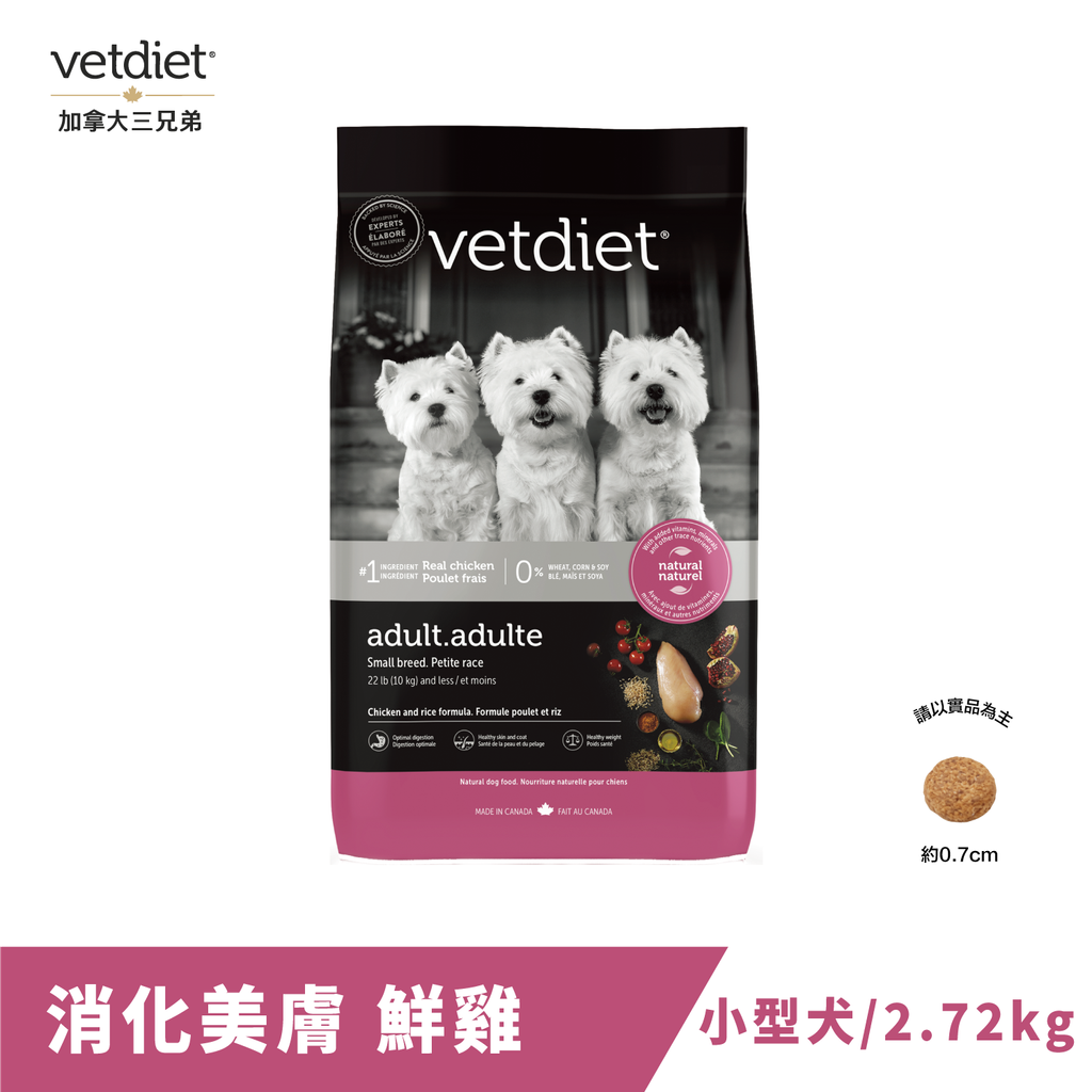 消化-犬